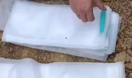 柚子怎么套袋方法视频,视频教程详解