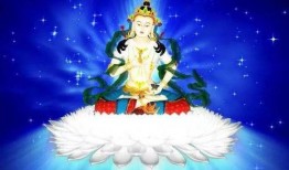 金刚萨埵心咒仪轨视频,净化心灵，开启智慧之旅