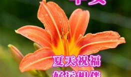 早上好祝福小视频