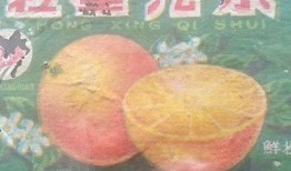 五羊牌广告视频,探寻羊城传奇，见证品牌辉煌