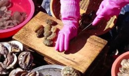 海参处理方法视频