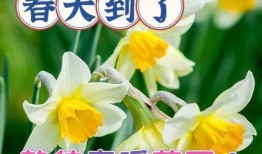 早上好祝福小视频